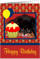 Birthday, general, Pomeranian with tongue out, cupcake and balloons card