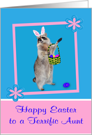 Easter to Aunt, Raccoon with bunny ears, pink flower frame on blue card