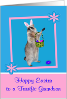 Easter to Grandson, Raccoon wearing bunny ears in a pink flower frame card