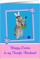 Easter to Husband Raccoon wearing Bunny Ears holding a Basket card