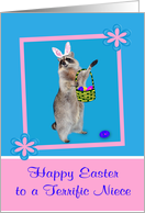 Easter to Niece, Raccoon with bunny ears, pink flower frame on blue card