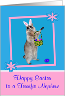 Easter to Nephew, Raccoon with bunny ears, pink flower frame on blue card