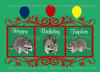 Birthday To Triplets, Raccoons with balloons