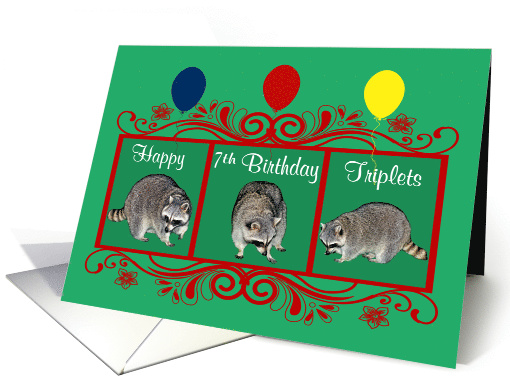7th Birthday to Triplets, adorable raccoons with colorful... (912170)