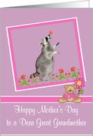 Mother’s Day to Great Grandmother Raccoon with Butterfly on it’s Nose card