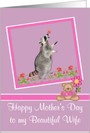 Mother’s Day To Wife, Raccoon with a butterfly on his nose on purple card