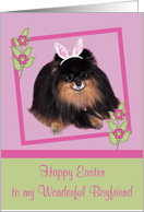 Easter to Boyfriend, Pomeranian with bunny ears, butterfly, flower card