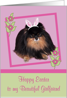 Easter to Girlfriend, Pomeranian with bunny ears, butterfly, flower card