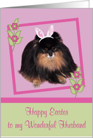 Easter to Husband, Pomeranian with bunny ears, butterfly, flower card