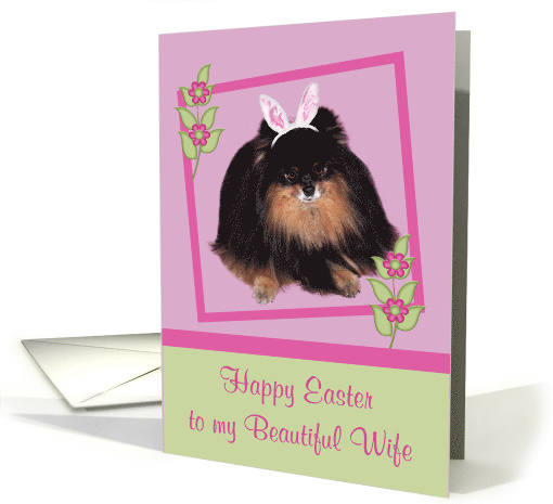 Easter to Wife, Pomeranian with bunny ears, butterfly,... (914025)