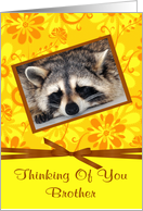 Thinking Of You Brother with a Raccoon Sleeping in a Frame and a Bow card