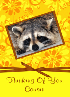 Thinking Of You Cousin, Raccoon sleeping, brown frame, yellow flower