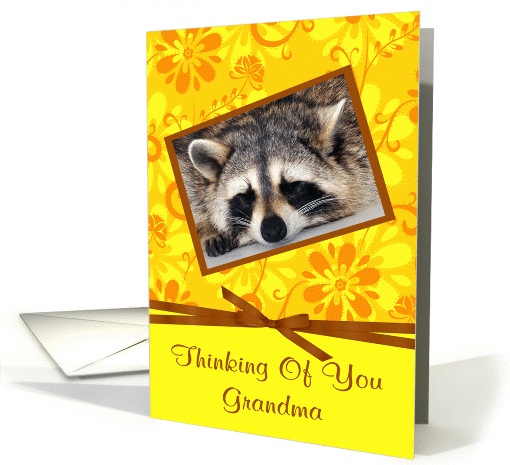 Thinking Of You Grandma, Raccoon sleeping, brown frame, flower card