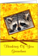 Thinking Of You Grandma, Raccoon sleeping, brown frame, flower card