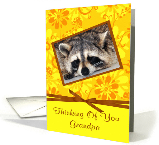Thinking Of You Grandpa, Raccoon sleeping, brown frame, flower card