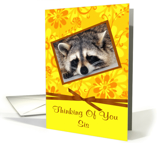 Thinking Of You Sister, Raccoon sleeping, brown frame,... (916113)