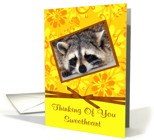 Thinking Of You Sweetheart, Raccoon sleeping in brown... (916116)