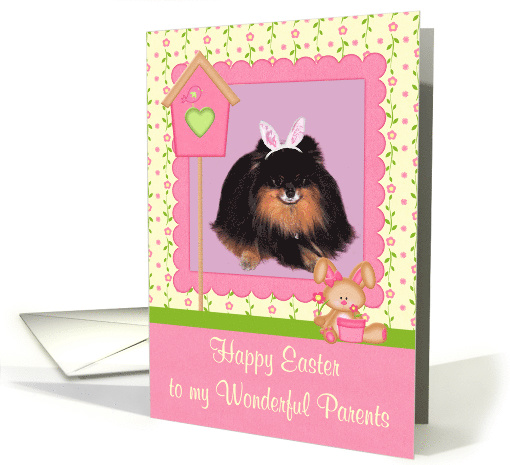 Easter to Parents, Pomeranian with bunny ears in pink frame, bird card