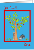 Get Well Soon, Raccoons with an apple tree card
