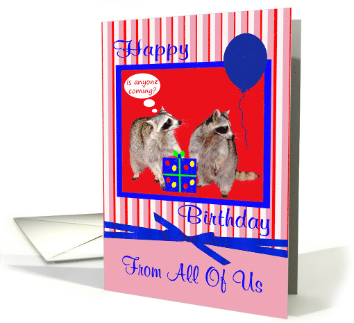 Birthday from All Of Us, adorable raccoons with present... (921603)