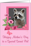 Mother’s Day To Secret Pal, portrait of a raccoon in pink flower frame card