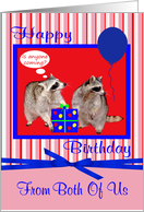 Birthday from Both Of Us, adorable accoons with a present and balloon card