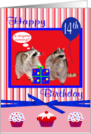 14th Birthday, adorable raccoons with a present, cupcakes, and bow card