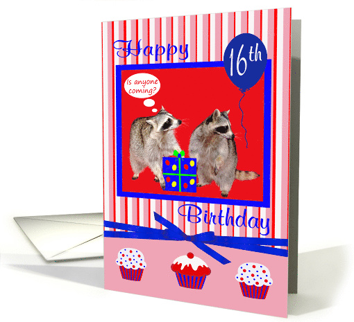 16th Birthday, adorable raccoons with a present and cupcakes, bow card