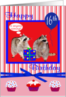 16th Birthday, adorable raccoons with a present and cupcakes, bow card