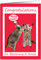 Congratulations On Becoming A Nurse, Raccoon wearing a nurse hat card