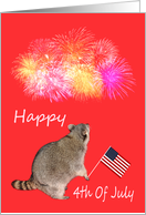 4th Of July, general, Raccoon holding a flay while watching fireworks card