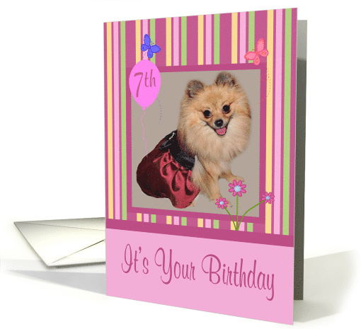 7th Birthday, Adorable Pomeranian smiling wearing a pretty dress card