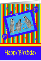 1st Birthday, adorable raccoons in a cute blue frame with balloons card