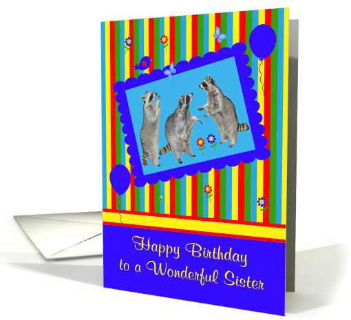 Birthday to Sister, adorable raccoons in a cute blue... (934746)