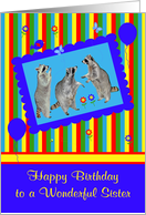 Birthday to Sister, adorable raccoons in a cute blue frame, balloons card