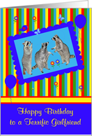 Birthday to Girlfriend, adorable raccoons in a cute blue frame card