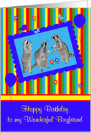 Birthday to Boyfriend, adorable raccoons in a cute blue frame card