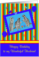 Birthday to Husband, Raccoons in a cute blue frame with balloons card