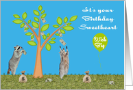 Birthday to Sweetheart, adorable accoons with a money tree, bags card