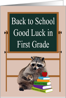 Back to School in First Grade with a Raccoon behind Books and an Apple card