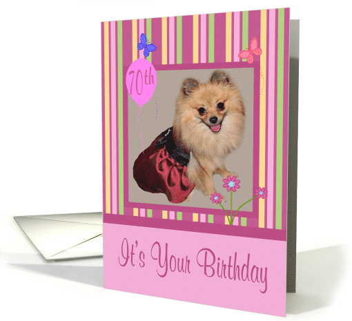 70th Birthday, Adorable Pomeranian smiling wearing a pretty dress card