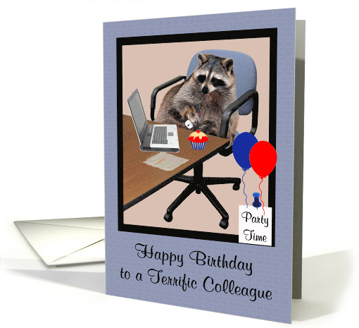 Birthday to Colleague, Raccoon in a office setting with... (937579)