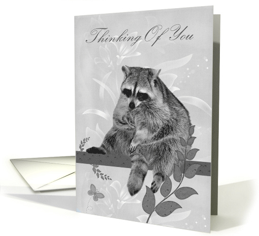 Thinking Of You Card with an adorable Raccoon Sitting on a... (937806)