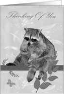 Thinking Of You Card with an adorable Raccoon Sitting on a Tree Limb card