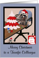 Christmas to Colleague, Adorable raccoon in an office setting card