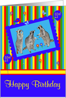 23rd Birthday, adorable raccoons in a cute blue frame with balloons card