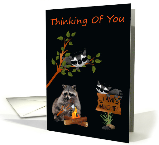 Thinking Of You While your Away At Summer Camp Card with Raccoons card