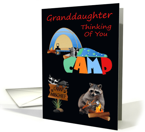 Thinking Of You to Granddaughter while She is at Summer Camp card