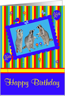 36th Birthday, adorable raccoons in a cute blue frame with balloons card