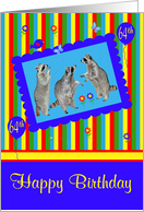 64th Birthday, adorable raccoons in a cute blue frame with balloons card